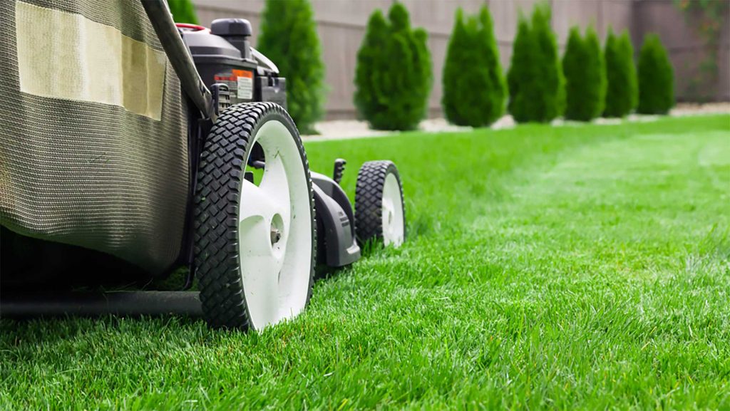 The Major Benefits Of Professional Lawn Care Services