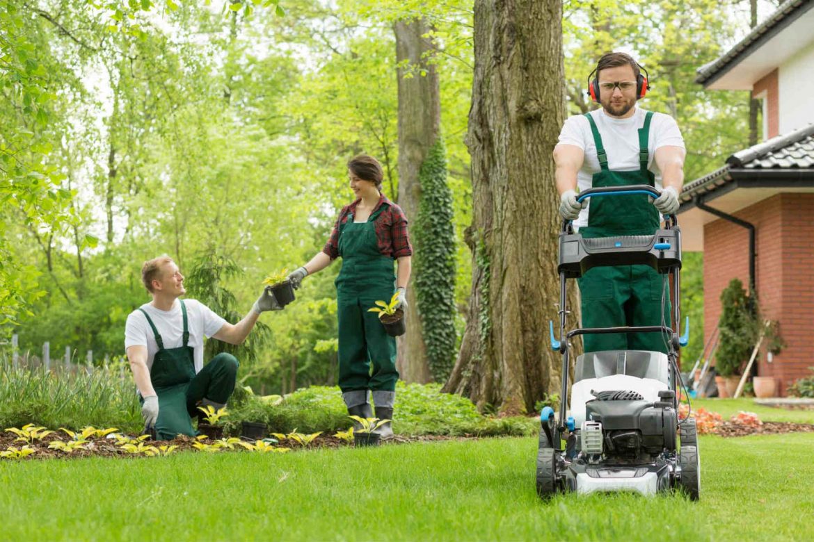 What Are The Major Benefits Of Professional Lawn Care Services?