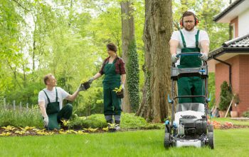 What Are The Major Benefits Of Professional Lawn Care Services